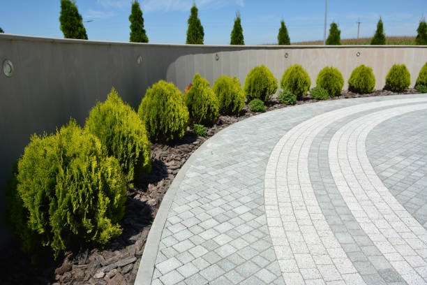 Best Interlocking Driveway Pavers  in Spanish Springs, NV